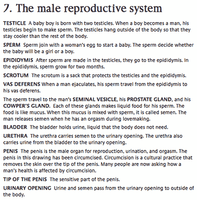 Female Reproductive 